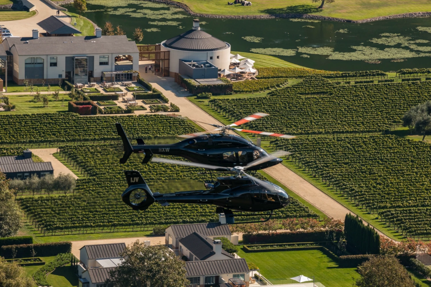 Helicopters at Craggy Range Winery, Hawke’s Bay
